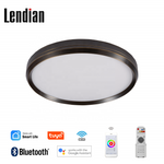 Load image into Gallery viewer, Round Circular Led Ceiling Lamp
