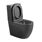 Load image into Gallery viewer, Floor Mounted Colour Toilet