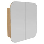 Load image into Gallery viewer, Rectangular Bathroom Mirror Cabinet With 2 Doors