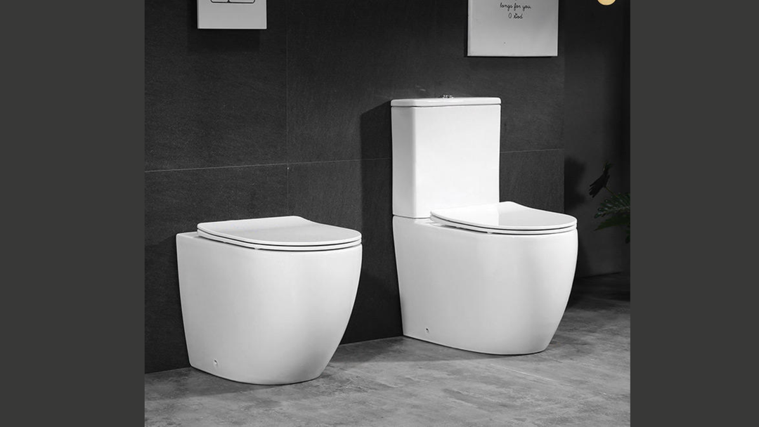  Two Piece Toilet Bowl
