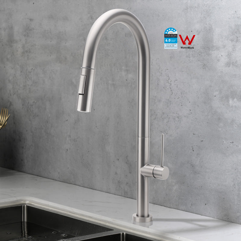 Steel kitchen faucet