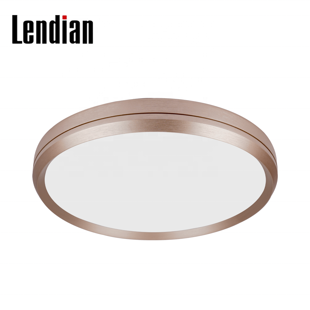 Round Circular Led Ceiling Lamp