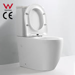 Load image into Gallery viewer,  Two Piece Toilet Bowl

