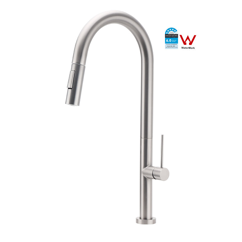 Steel Kitchen Faucet