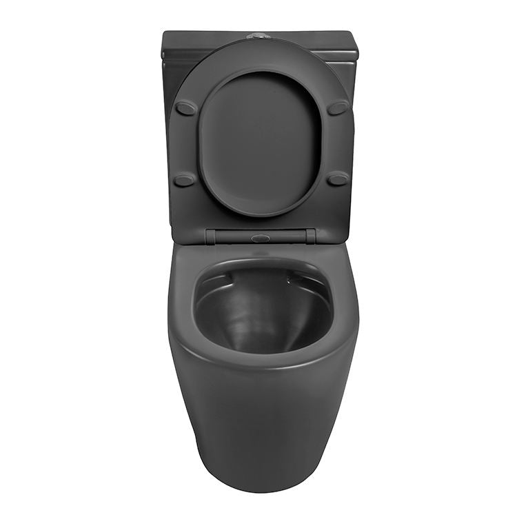 Floor Mounted Colour Toilet