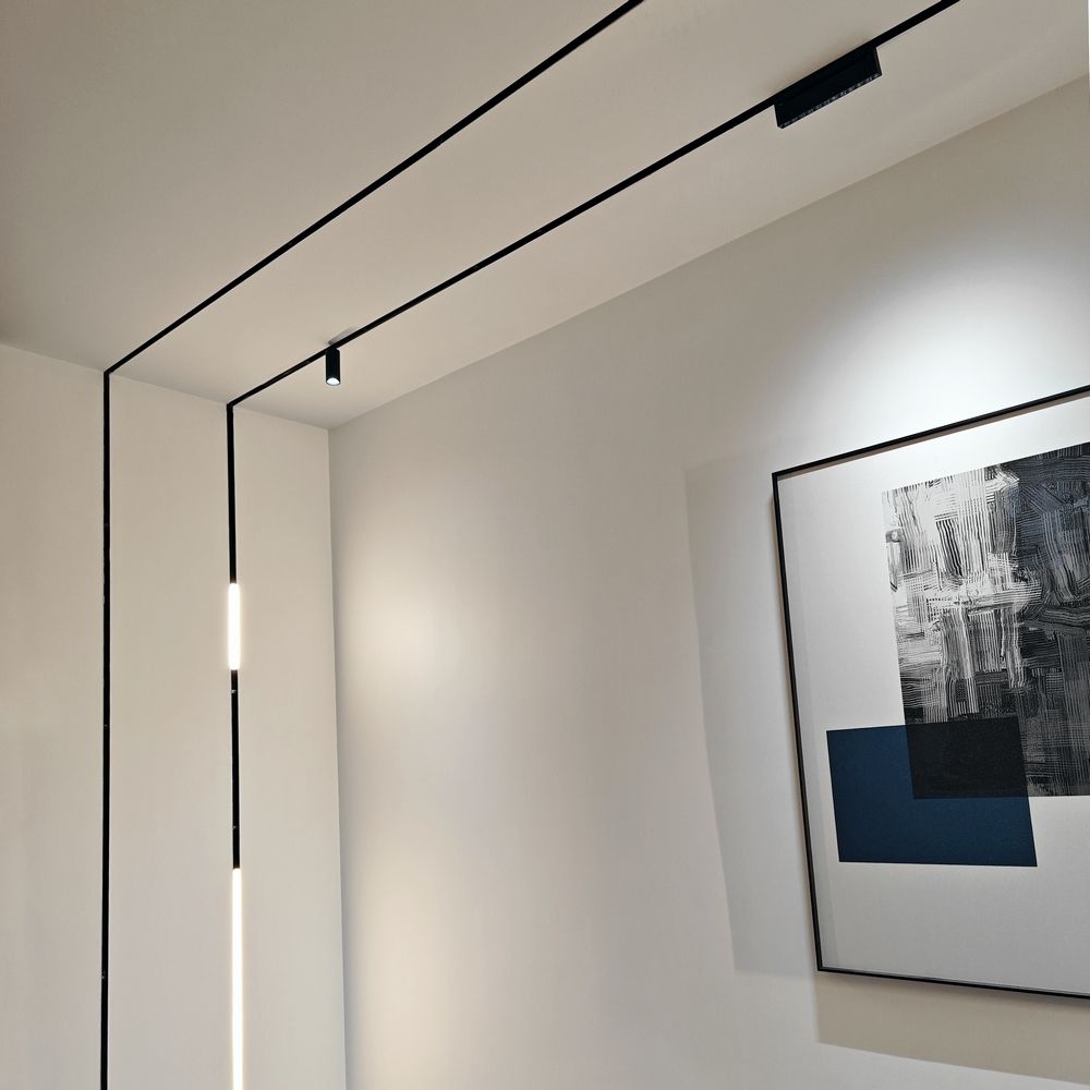 Magnetic rail track light
