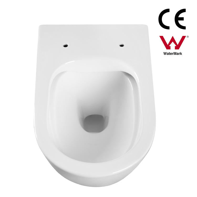 Wall Hung Toilet