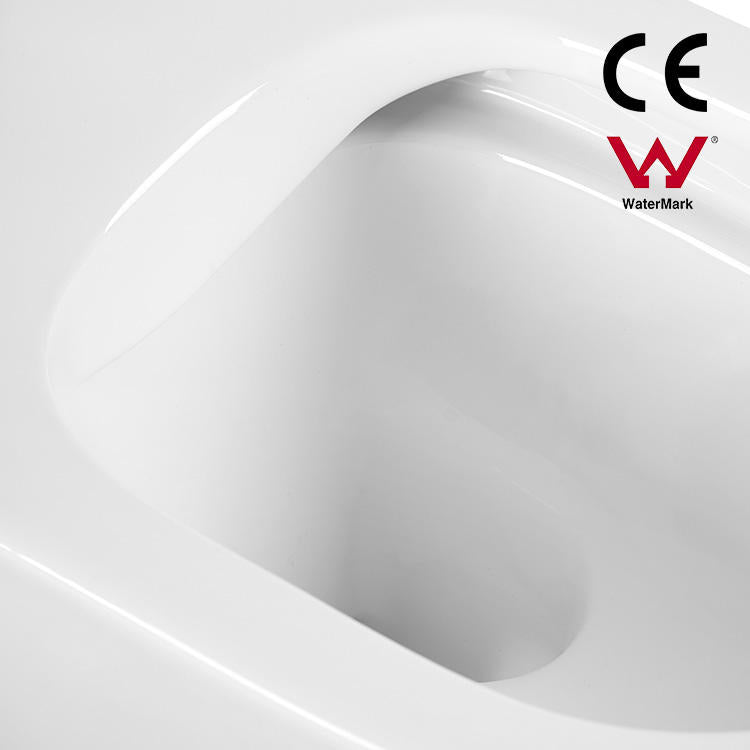 Wall Hung Toilet