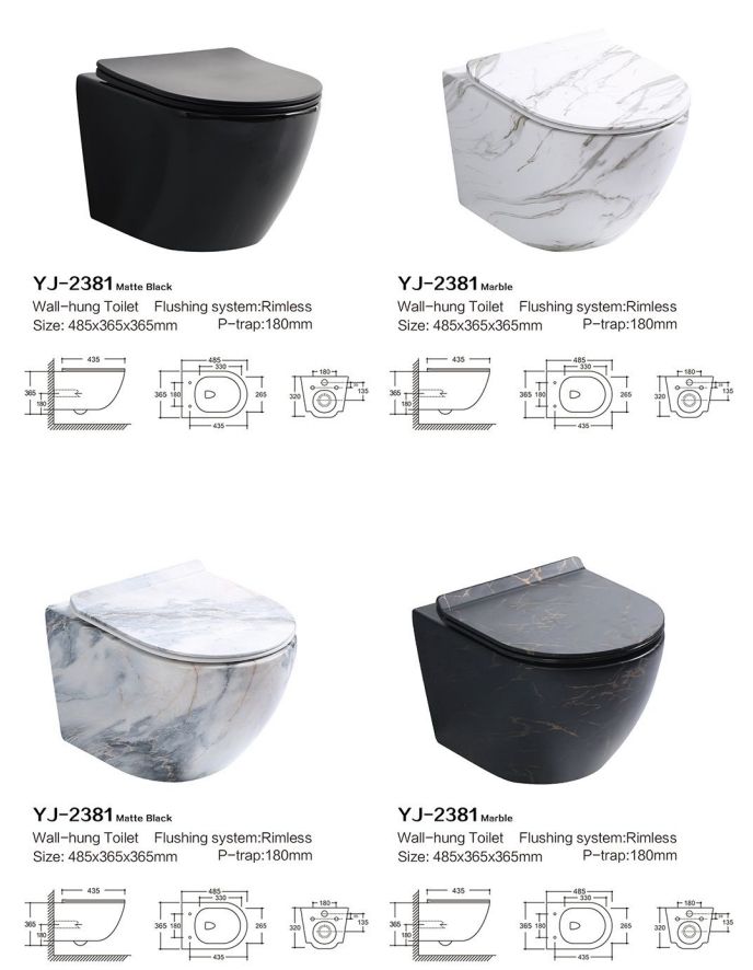 Wall Hung Toilet