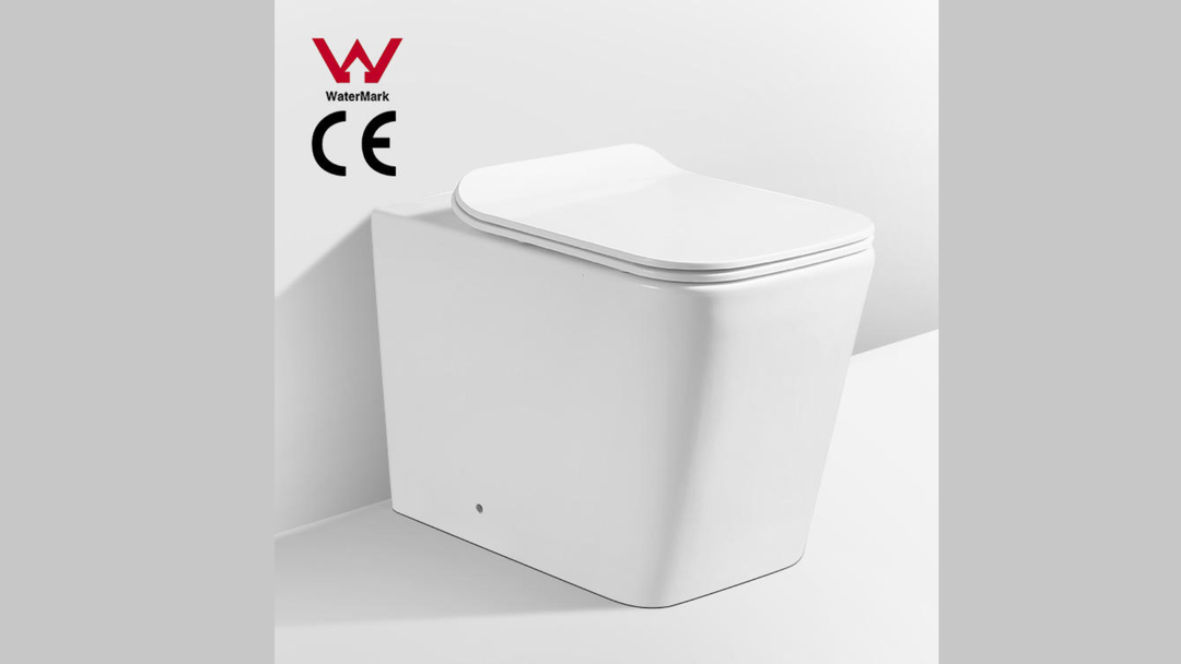 One-Piece P-Trap Rimless Toilet
