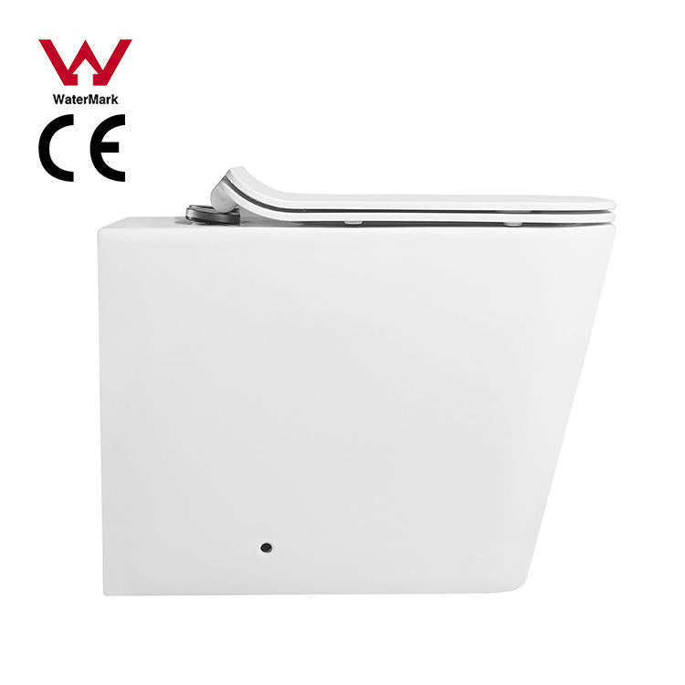 One-Piece P-Trap Rimless Toilet
