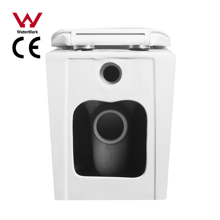 One-Piece P-Trap Rimless Toilet