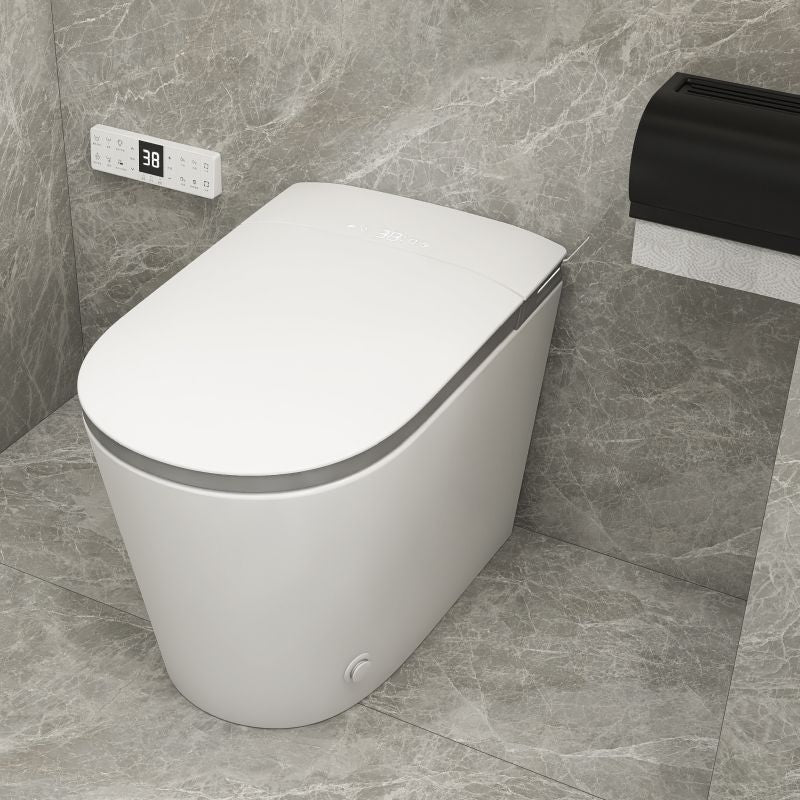 Luxury smart toilet
