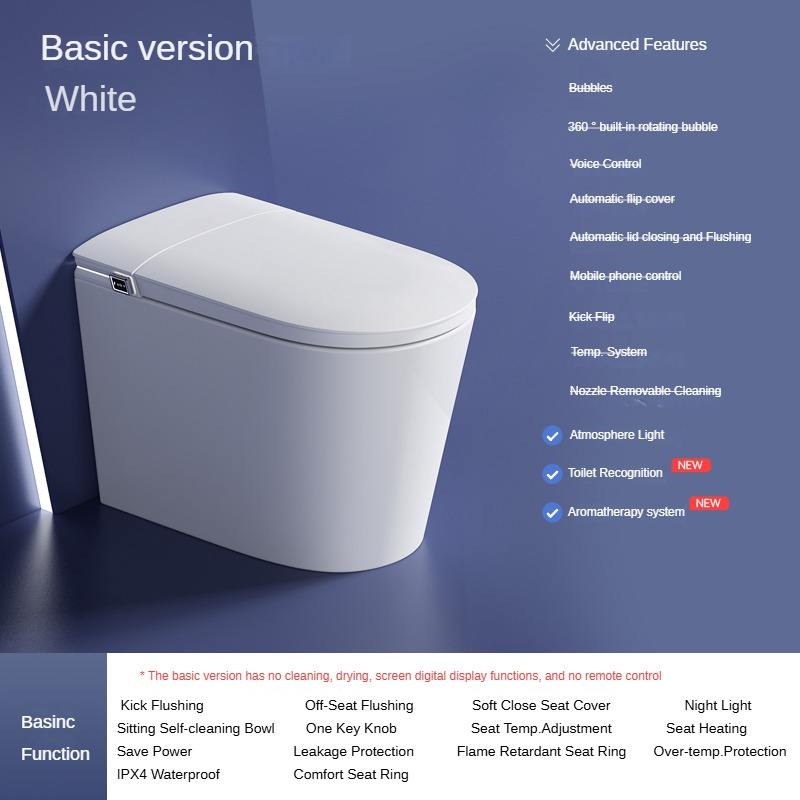 Luxury smart toilet