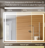 Load image into Gallery viewer, LED Bathroom Vanity Mirror Anti-Fog Touch Switch Wall-Mounted Lighted 5x
