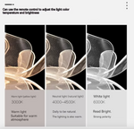 Load image into Gallery viewer, Living room light
