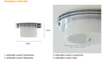 Load image into Gallery viewer, Ceiling light for entrance
