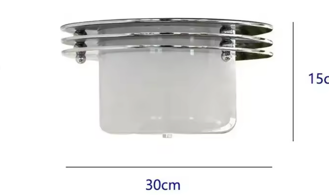 Ceiling light for entrance